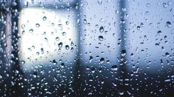 Moving in the Rain: Pros and Cons