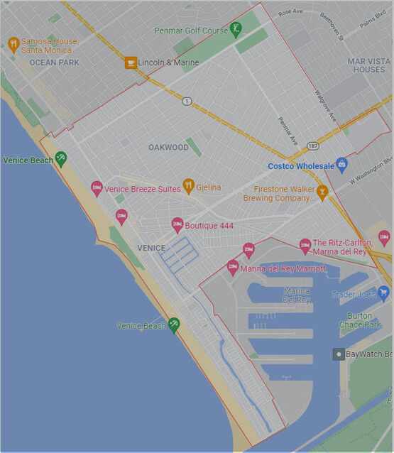 Venice moving and storage services