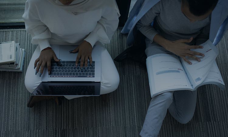 Check license to find reliable movers