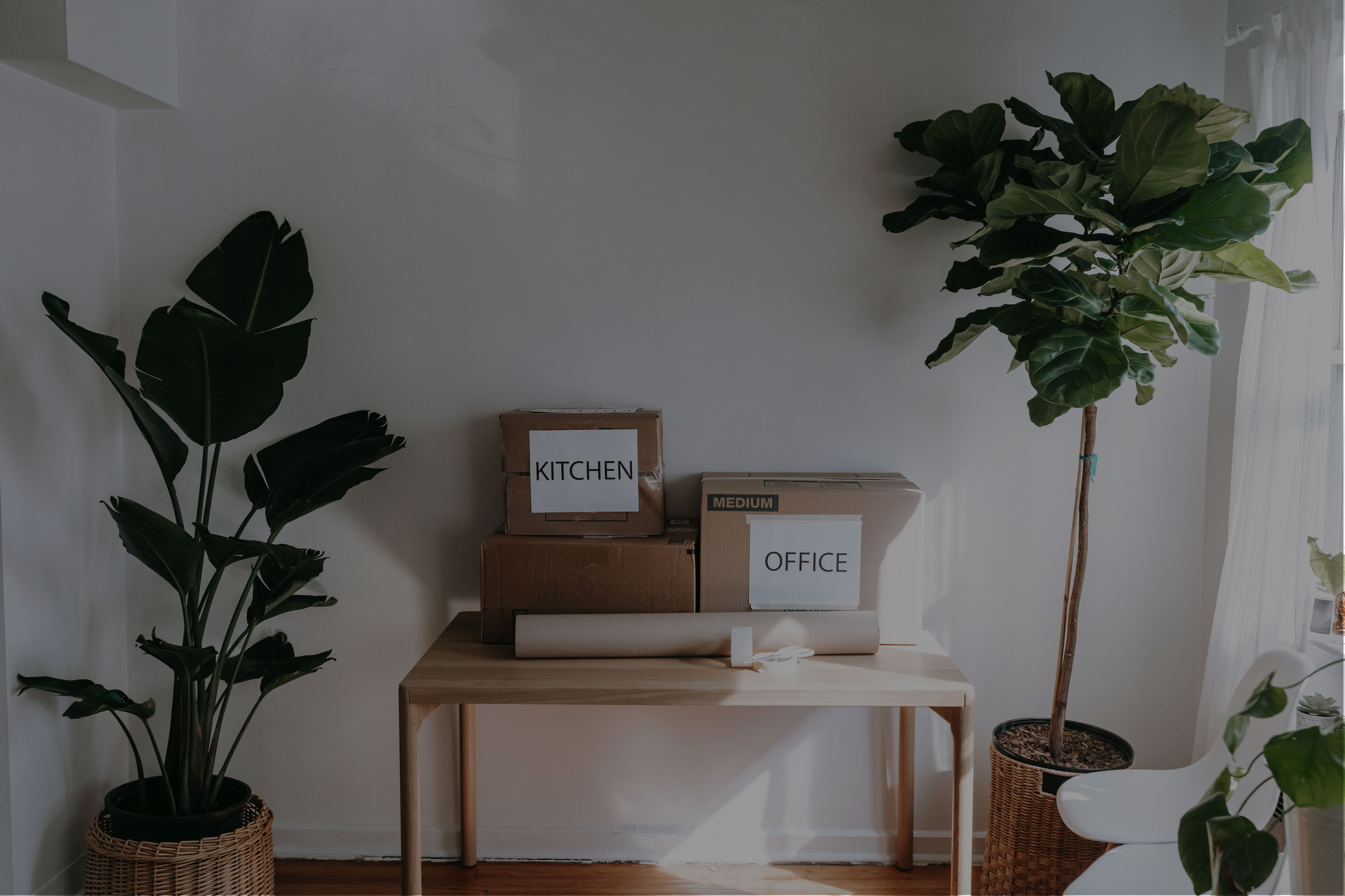 How to save on your move