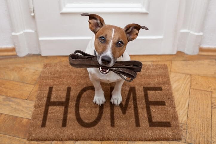 Welcome to a New Home: Tips to Adapt to A New House after Moving